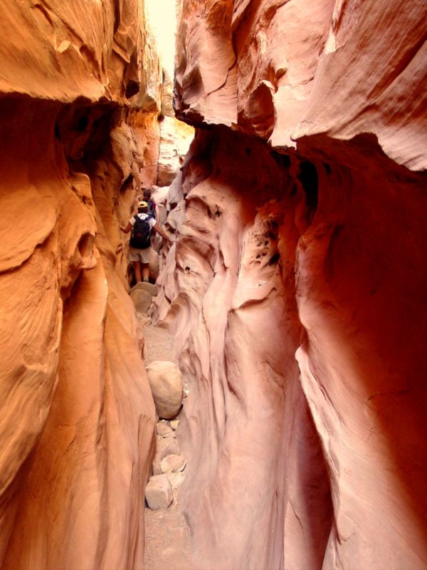 04160302LittleWildHorse (1056)